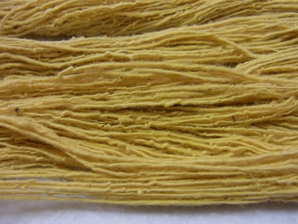 木綿手紡ぎ糸かせ　e-cotton(eco＋cotton)　草木染め糸かせ　黄色 3枚目の画像