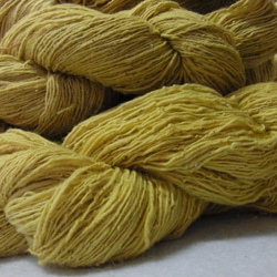 木綿手紡ぎ糸かせ　e-cotton(eco＋cotton)　草木染め糸かせ　黄色 4枚目の画像
