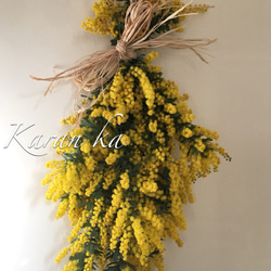 数量限定 ミモザのリース ドライフラワー（直径26cm） リース wildswag