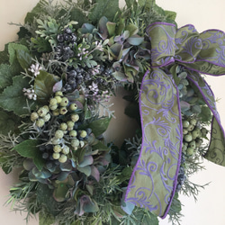 母の日】胡蝶蘭（マザーチーク）ホーローピッチャー 多肉植物