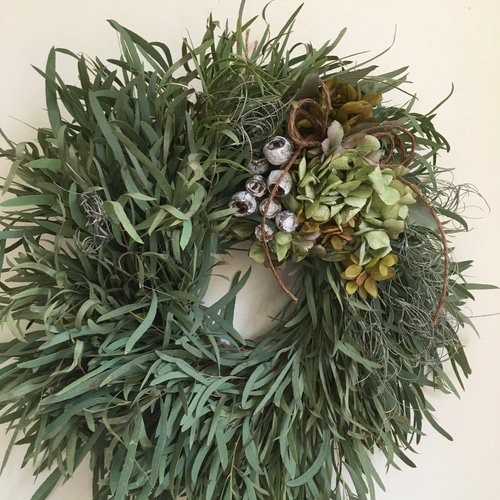 たくさんの再販】Fresh細葉ユーカリリース〜 リース Karan ka 通販