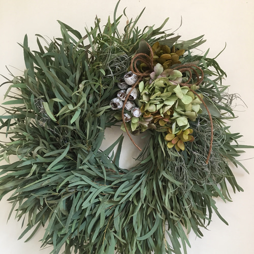 たくさんの再販】Fresh細葉ユーカリリース〜 リース Karan ka 通販