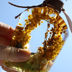 〜Harbariumハーバリウム〜ウィスキーボトル mimoza wreath ver. 2枚目の画像