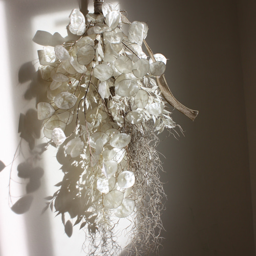 ルナリア　ドライフラワー 20250812_0111-min_large.jpg?v=