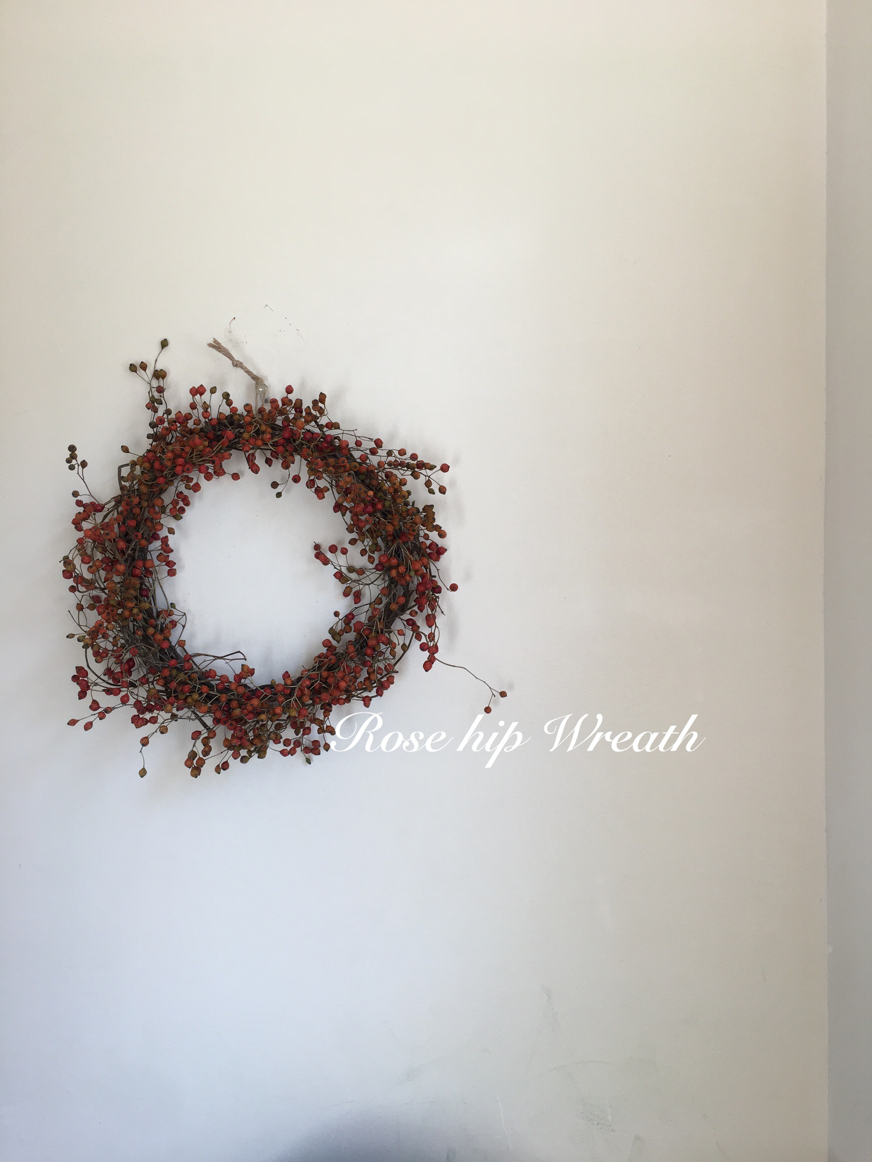 【再販×5】薔薇の実リース〜rose hip wreath〜