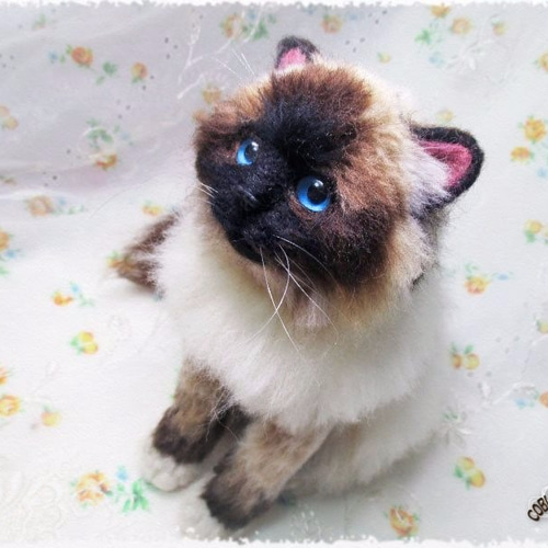 ☆羊毛フェルト（猫）・バーマンBirman ☆【再販・受注制作】 羊毛  