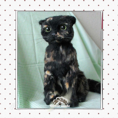 ☆スコティッシュフォールド(サビ柄)☆Order Made Gallery ☆スコティッシュフォールド(サビ柄)☆Order Made Gallery