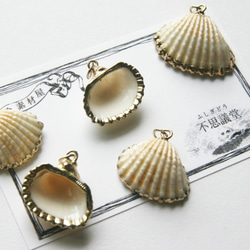 貝殻のチャームセットA 5個セット *貝殻*シェル*ハンドメイド素材*　CG2-A 2枚目の画像
