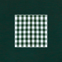 AlphaBAG（AZ）ハンドメイドのキャンバスショルダーバッグ|オプションの選択の文字|濃い緑と白の格子縞の布 5枚目の画像