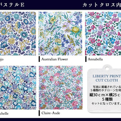 リバティ　パステルE　カットクロス（LIBERTY FABRICS/５枚セット） 4枚目の画像