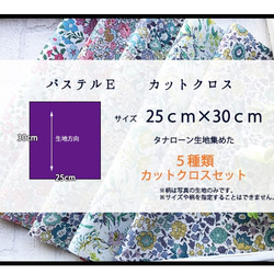 リバティ　パステルE　カットクロス（LIBERTY FABRICS/５枚セット） 5枚目の画像