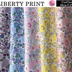 リバティ　チビチビBetsy　別注5種セット　カットクロス（LIBERTY FABRICS/５枚セット） 6枚目の画像