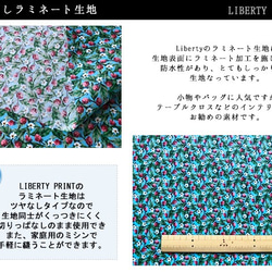 リバティ【ラミネート】ファイフ・ベリーズ　水色×赤実（30cm×50cm）カット済 2枚目の画像