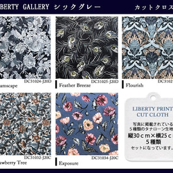 リバティ【カットクロス】LibertyGalleryシックグレー　5種セットLIBERTY FABRICS/5枚セット　 4枚目の画像