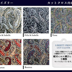 リバティ【カットクロス】ペイズリー　5種セット　LIBERTY FABRICS/5枚セット　はぎれ　布　 6枚目の画像