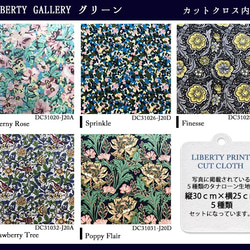 リバティ【カットクロス】LibertyGalleryグリーン　5種セットLIBERTY FABRICS/5枚セット　 4枚目の画像