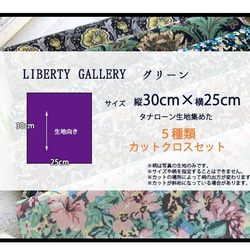 リバティ【カットクロス】LibertyGalleryグリーン　5種セットLIBERTY FABRICS/5枚セット　 5枚目の画像