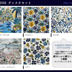 リバティ【カットクロス】生地「 2021SSヴィスタ」5種セット　はぎれ　布　綿　LIBERTY 4枚目の画像