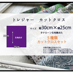 リバティ【カットクロス】生地「トレジャー」5種セット　はぎれ　布　綿　キッズ　車　動物　ヨット　星　LIBERTY 4枚目の画像