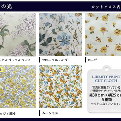 リバティ【カットクロス】月の光　5種セット　LIBERTY 　はぎれ　布 3枚目の画像