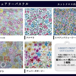 リバティ【カットクロス】生地「 フェアリーパステル」5種セット　はぎれ　布　綿　LIBERTY 3枚目の画像