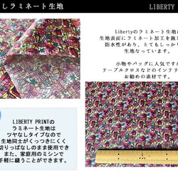 リバティ【ラミネート】チェックサプライズ　ピンク（30cm×50cm）カット済　ビニコ　生地　ボタニカル　LIBERTY 3枚目の画像