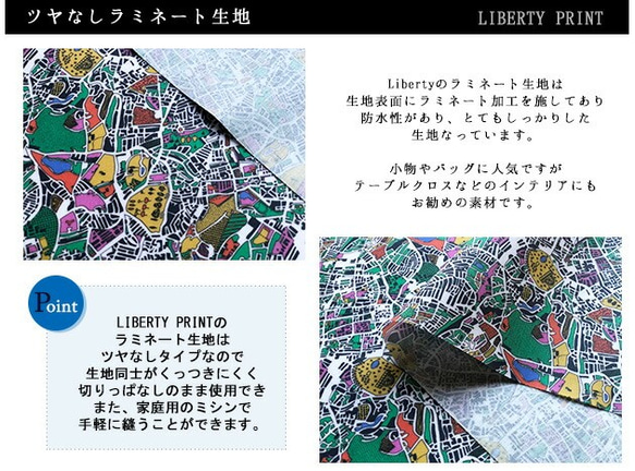 リバティ【ラミネート】ロンドンフィールズ　ミックス（30cm×50cm）カット済　ビニコ　生地　ボタニカルLIBERTY 3枚目の画像