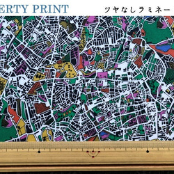 リバティ【ラミネート】ロンドンフィールズ　ミックス（30cm×50cm）カット済　ビニコ　生地　ボタニカルLIBERTY 4枚目の画像