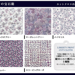 リバティ【カットクロス】雨の宝石箱　5種セット　LIBERTY 　はぎれ　布　 3枚目の画像