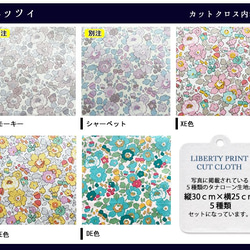 リバティ【カットクロス】生地「ベッツィ」5種セット　はぎれ　布　綿　LIBERTY 3枚目の画像