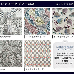 リバティ【カットクロス】生地「2021ＡＷアンティークグレー」5種セット　はぎれ　布　綿　LIBERTY 3枚目の画像