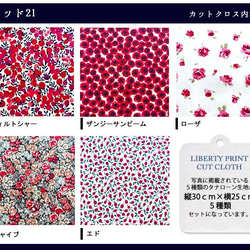 リバティ【カットクロス】レッド21　5種セット　LIBERTY 　はぎれ　布 3枚目の画像