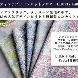 LIBERTY　パステルA『淡い色』系カットクロス（リバティファブリック/５枚セット） 2枚目の画像