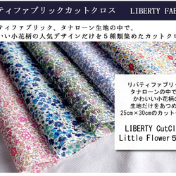 LIBERTY　特に小さいな小花柄カットクロス（リバティファブリック/５枚セット） 2枚目の画像