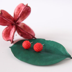 Handmade delicate raspberry earrings - stainless steel 1枚目の画像