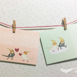 //明信片-4入/玄鳳鸚鵡 牽手散步篇&心心相印篇 卡片 鳥兒 禮物卡 愛心 love 第1張的照片