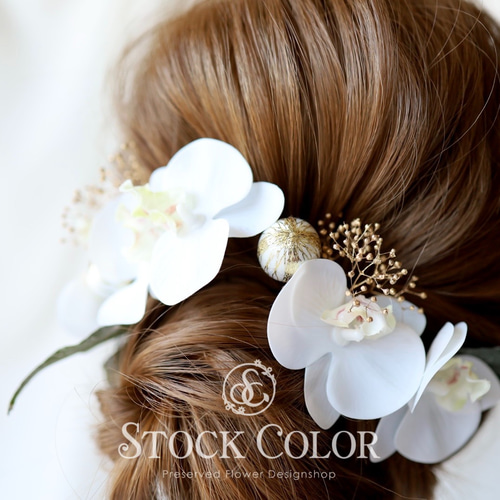 胡蝶蘭とかすみ草のヘッドドレス ヘアアクセサリー 髪飾り 胡蝶蘭とかすみ草のヘッドドレス ヘアアクセサリー 髪飾り