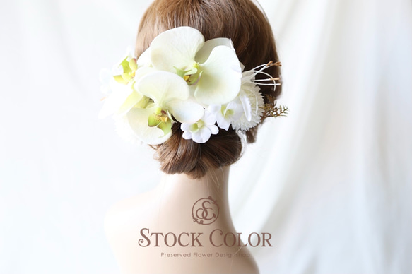 胡蝶蘭とダイヤモンドリリィーのヘッドドレス/ヘアアクセサリー(ホワイトグリーン)＊ウェディング 白無垢 成人式 髪飾り 2枚目の画像