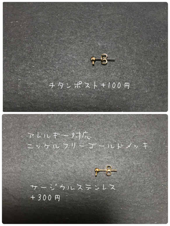 サージカルステンレス変更可能⚘プリザーブド⚘ユーカリのゆらゆらピアスで冬支度 3枚目の画像