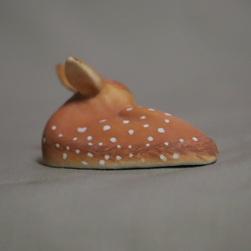 バンビー小鹿 本物のバンビちゃん オジロジカの小鹿 剥製 - 頭骨・骨格標本