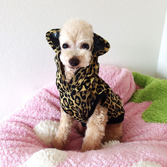 ベンガル猫ちゃん ペット服・アクセサリー 気まぐれChopin 通販