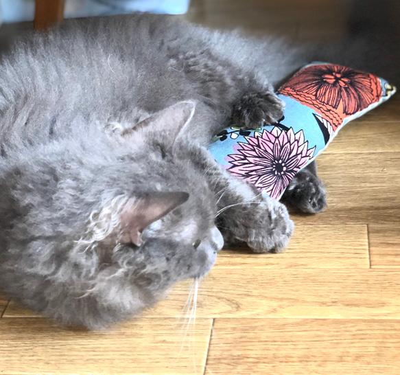 【SALE‼️】猫用キッカー　ペットのおもちゃ　ペットクッション　ケリケリ　蹴りぐるみ　猫のおもちゃ 6枚目の画像