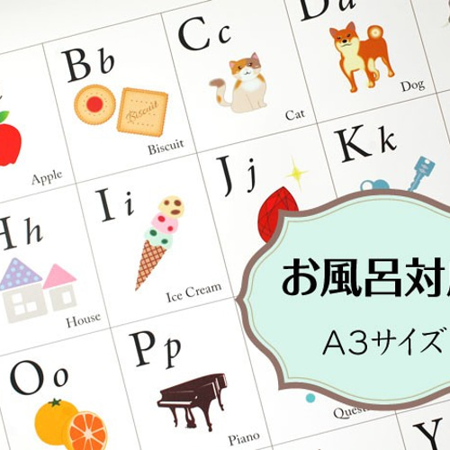 お風呂ポスター「アルファベット表」ABC 防水 A3サイズ 角丸 ポスター