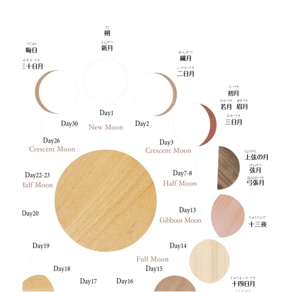 月の満ち欠けポスター木目調【お風呂対応】Ａ3サイズ　インテリア ポスター　小学 受験 インテリア　角丸 3枚目の画像