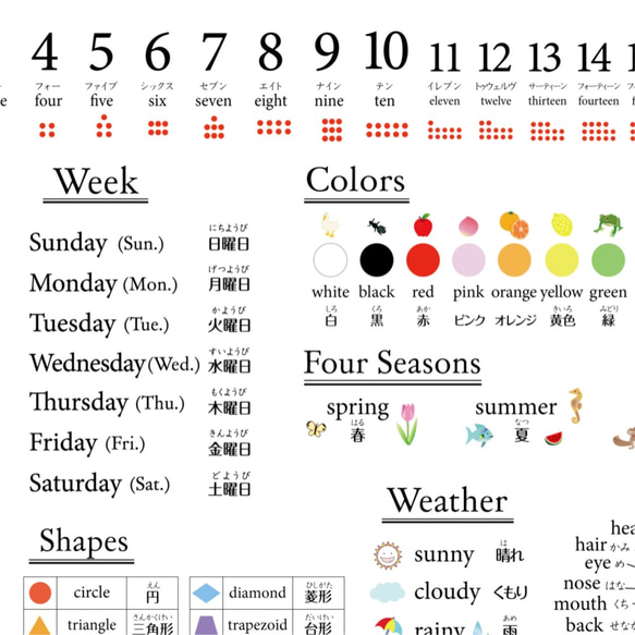 インテリアに飾れる英語単語ポスター【お風呂対応】A3サイズ　小学 受験 インテリア　角丸 1枚目の画像