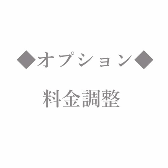 價格調整+500日元 第1張的照片