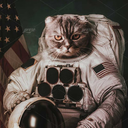 猫の宇宙飛行士、キャット・アストロノート 5枚目の画像