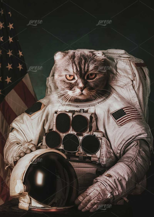 猫の宇宙飛行士、キャット・アストロノート 5枚目の画像