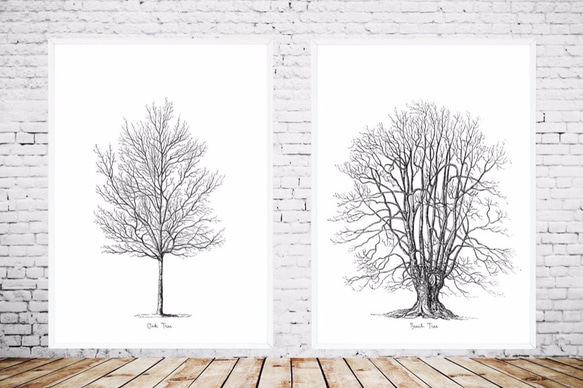 2枚セット ブナの木、ナラの木 美しい枝ぶりのポスター 3枚目の画像