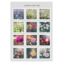 お花の写真12枚セット ましかくサイズ 2枚目の画像
